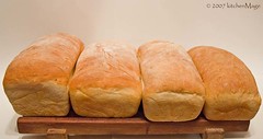 potato bread array