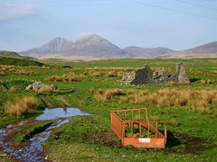 Ruin near Ballygrant