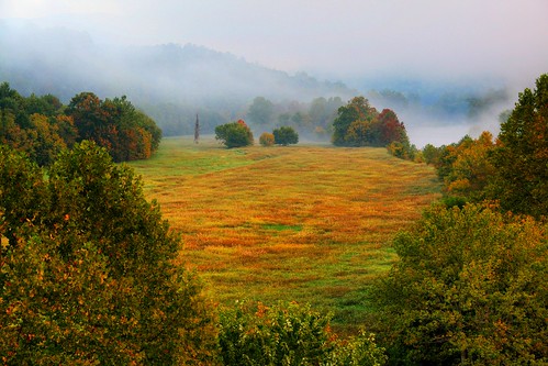 Meadows in Fall