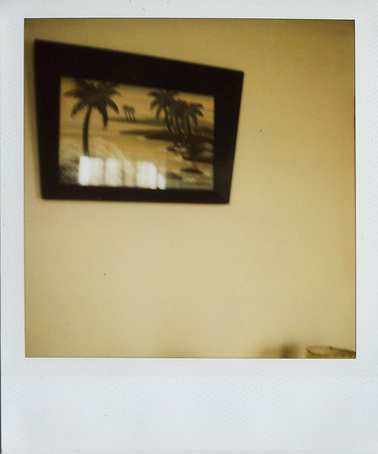 jason's :: palm trees