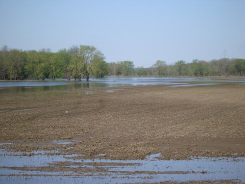 Picture of Wet Fields at Riverside
