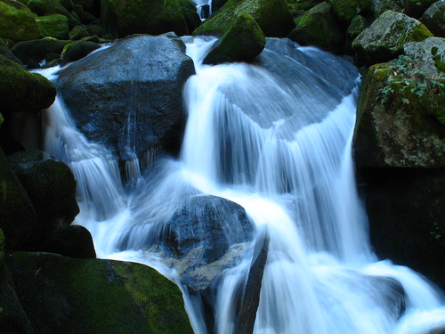 Triberg Waterfalls Digital Photo