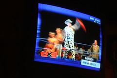 Flamboyant Luchador (on TV)