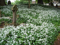 Penwortham churchyard