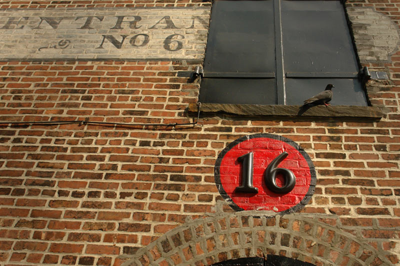 red hook typography and pigeon