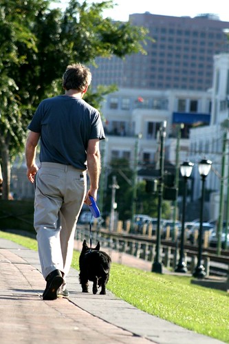 Man & Dog Walking in Sync