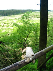 View from the hill - Flapser hiking at the Hautes Fagnes (High Fens) - Ardennes, Belgium - 18 May 2007