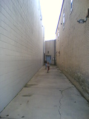 Alley Scoots