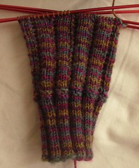 Roza's Socks from Spring 2007 Interweave Knits