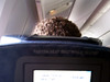 The Man in Seat 41 A