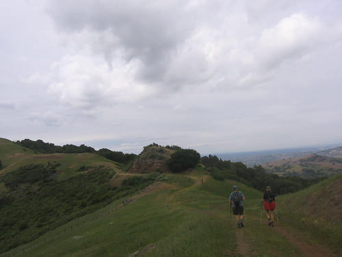 Bald Ridge Trail