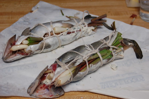 Prepped Trout