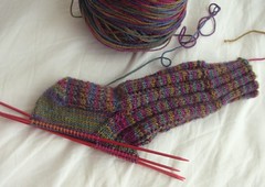 "Roza's Socks" progress as of 5/15/07