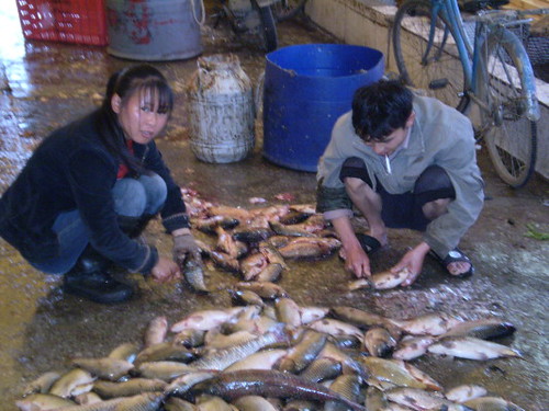 fish_market_1