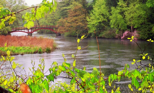 little red bridge in Wellesley