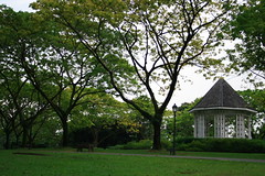 28th Apr 07 - Singapore Botanic Gardens