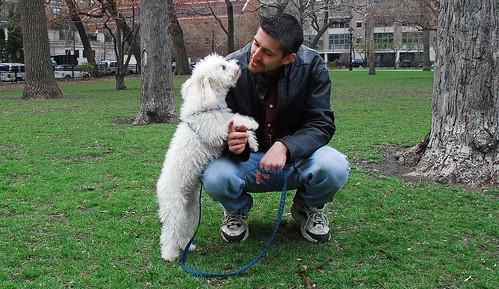 A man and his dog in Washington Square Park