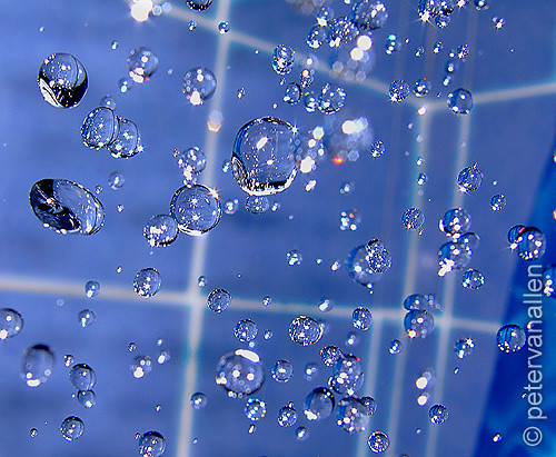 water droplet. water droplets in the shower