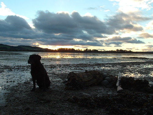 Waiting for evening flight with Ash on the Montrose Basin.