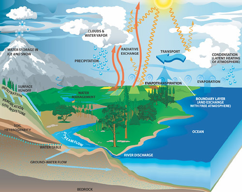 Water cycle by babyanimals
