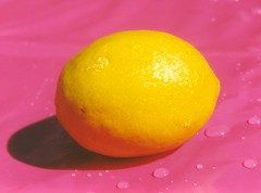 lemon on pink