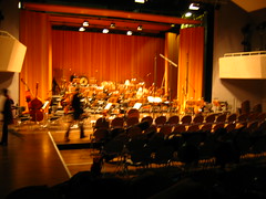 Brandenburg Symphonic Orchestra