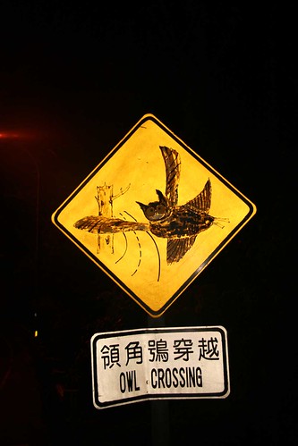 Funny Sign - Lazy Owls!