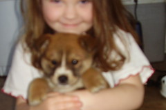 Aimee and Pup 040507 web