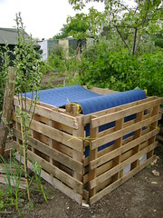 The finished compost bin