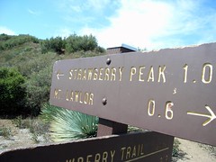 Strawberry Peak Take 2 026