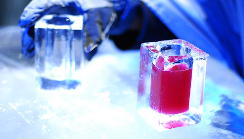 Absolute Ice Bar