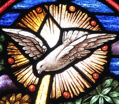 Holy Spirit dove window