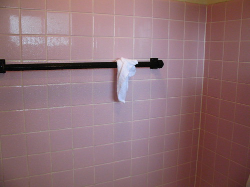 Pink Shower Tile