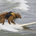 dog-saint-kat-surfing_0196