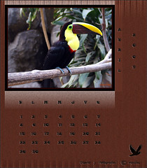 Zoo Calendar April