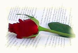 Rosa y libro en San Jordi