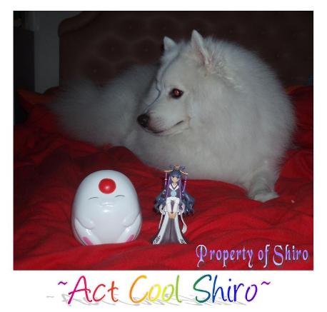 Shiro & Figurines