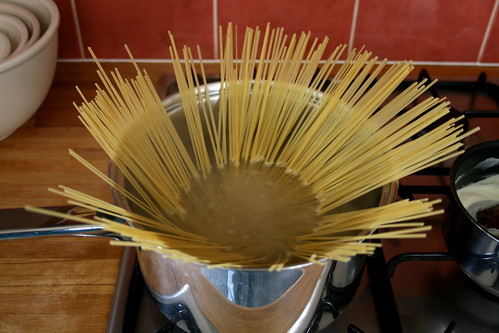 Spaghetti Fan