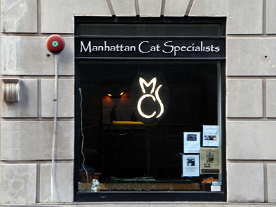 Manhattan Cat Specialists