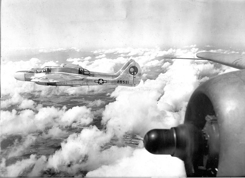 Warbird picture - P-61
