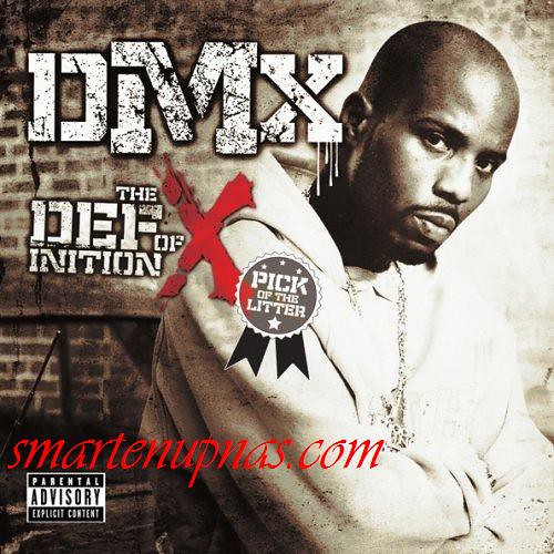 dmx definition