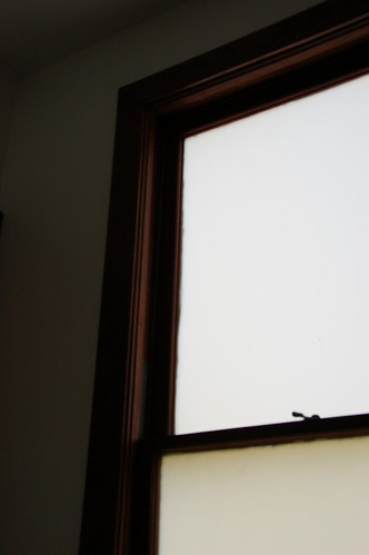 window :: diffuse light