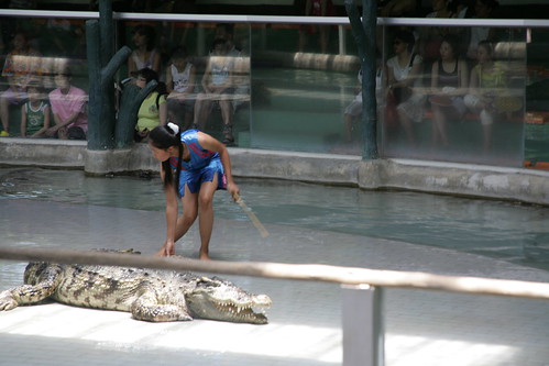 Lady alligator wrestler