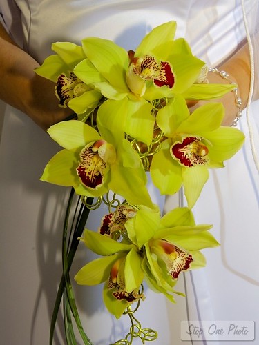 Georgeous orchids simple and elegant Keywords wedding bouquet weddings 