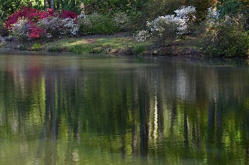 spring reflections 2