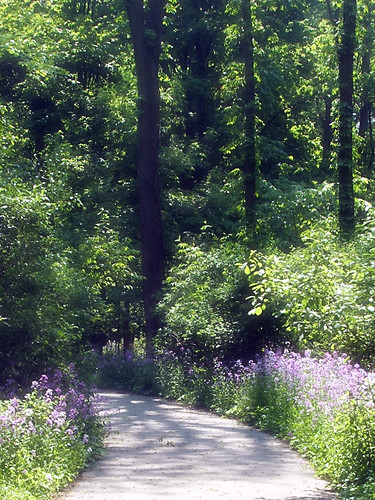 arboretum path
