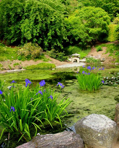 Berkeley Botanical Garden Pond F1280 by CoastRanger 