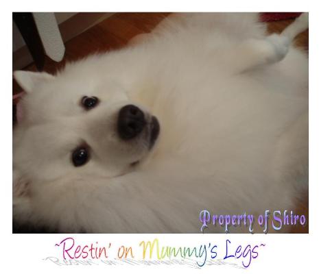 Resting on Mummy's Legs_-_01