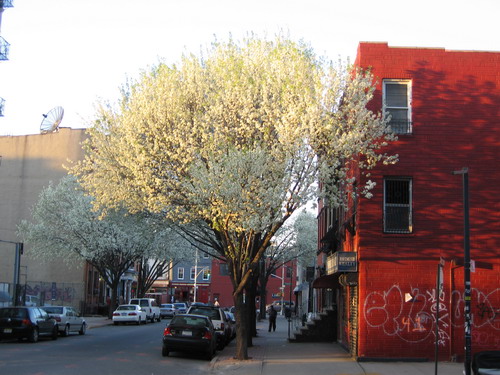 Spring-Havemeyer Street