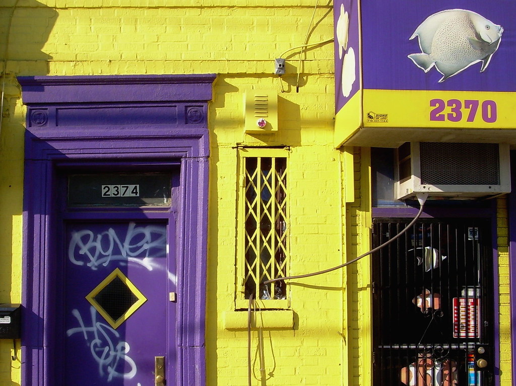 purple door, flatbush